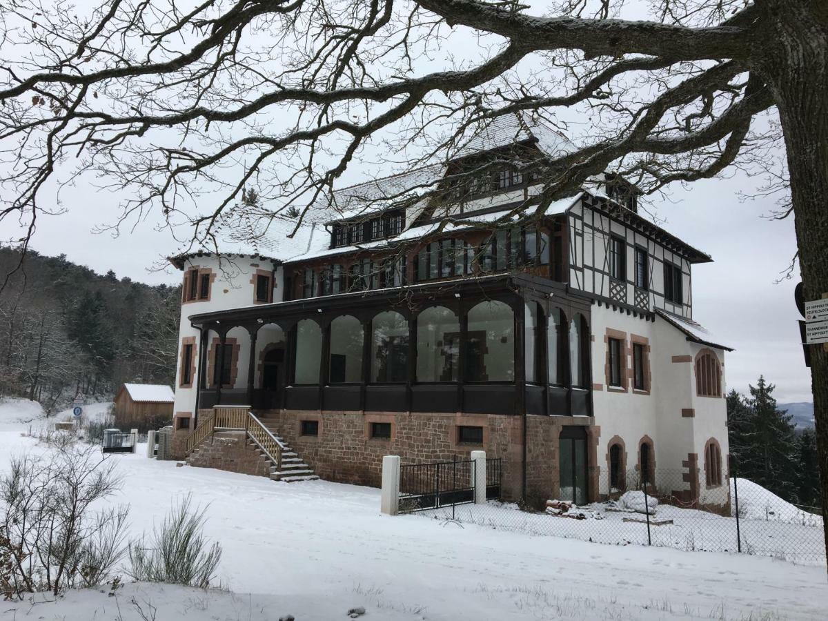 Logis Du Haut-Koenigsbourg タネンキルヒ エクステリア 写真